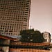 よくばりないぬ（2008.08）